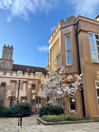 Spring Vibes at Cambridge: Strolling Through Uni Magic 🌸🏛️