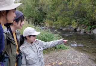 知床半島サケの遡上探検：自然の奇跡を目撃しよう