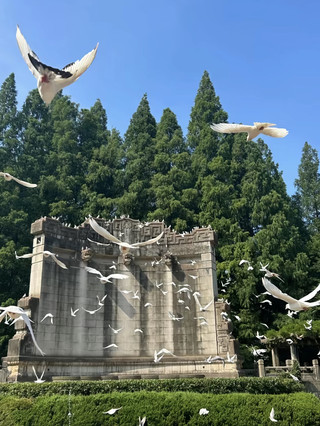 南京文化光彩