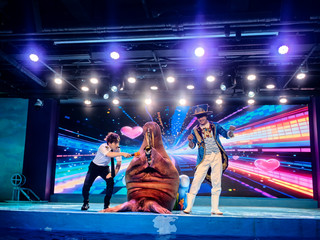 Harbin Must-Visit Polarland Park