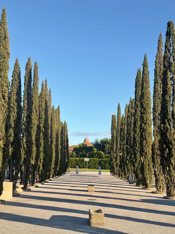 イタリア全土攻略初心者も安心で突撃 | Trip.com フィレンツェ