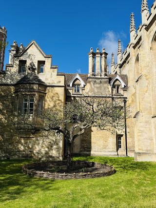 UK 6-day family trip guide recommendation