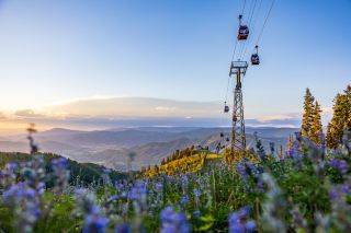 The ideal way to experience Aspen in summer, USA
