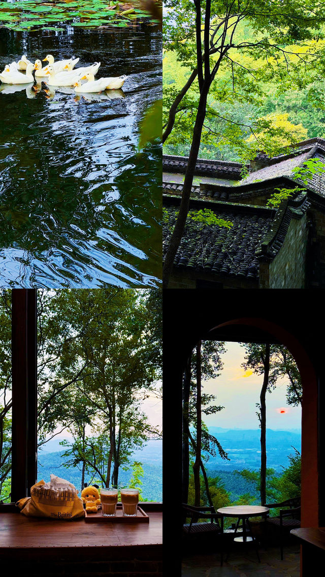 常年22攝氏度 帶娃避暑好去處