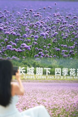 Beijing Weekend Getaway | A Relaxing 3-Day, 2-Night Yanqing Guide