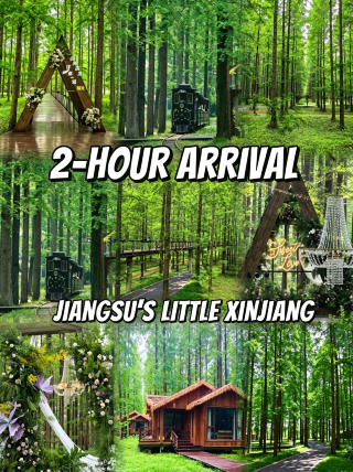 No need to travel all the way to Xinjiang! High-speed train reaches Jiangsu’s green wilderness in 2 hours for a weekend getaway