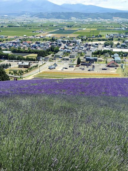 南アフリカ12日間ドライブ旅行の完全ガイド