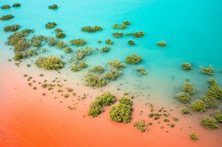 Niche destination: Broome