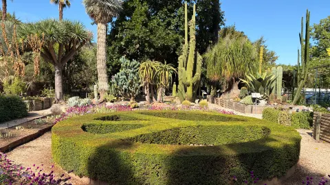 Lovely Oasis Near Soller — traveler post in Soller