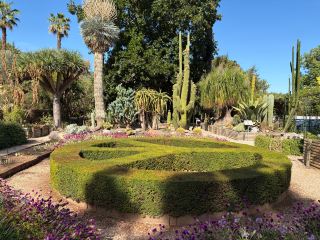 Lovely Oasis Near Soller