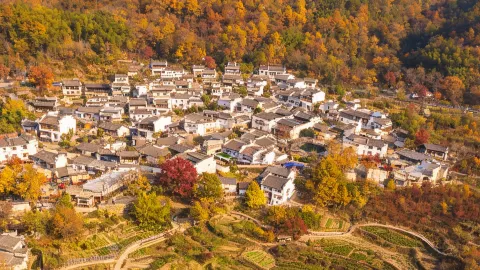Tachuan Autumn Colors: Stunning autumn scenery in Southern Anhui! 4 photo spots + 2-day itinerary for effortless, atmospheric shots — traveler post in Yi County