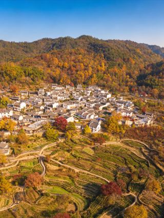 Tachuan Autumn Colors: Stunning autumn scenery in Southern Anhui! 4 photo spots + 2-day itinerary for effortless, atmospheric shots