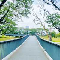ขับรถไปสวนเบญจกิติ