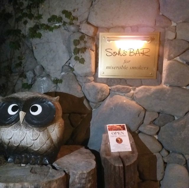 時尚與自然的結合 新富良野王子大酒店 