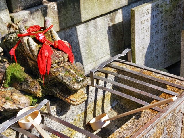 【京都市】無数の鳥居をくぐり山頂へ⛩