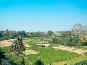 Baan Huanam Mushroom Farm