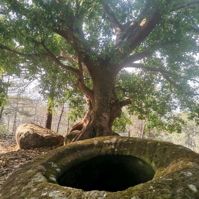 Tour with Kong the Plain off Jars 