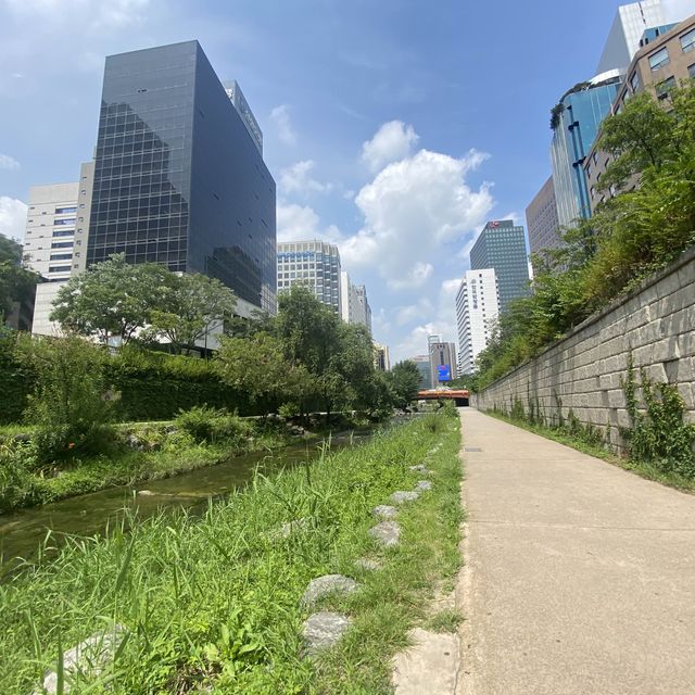 Cheonggyecheon: Urban Oasis in Seoul's Heart