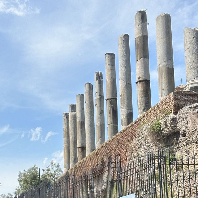 🥰 Colosseum 🥰