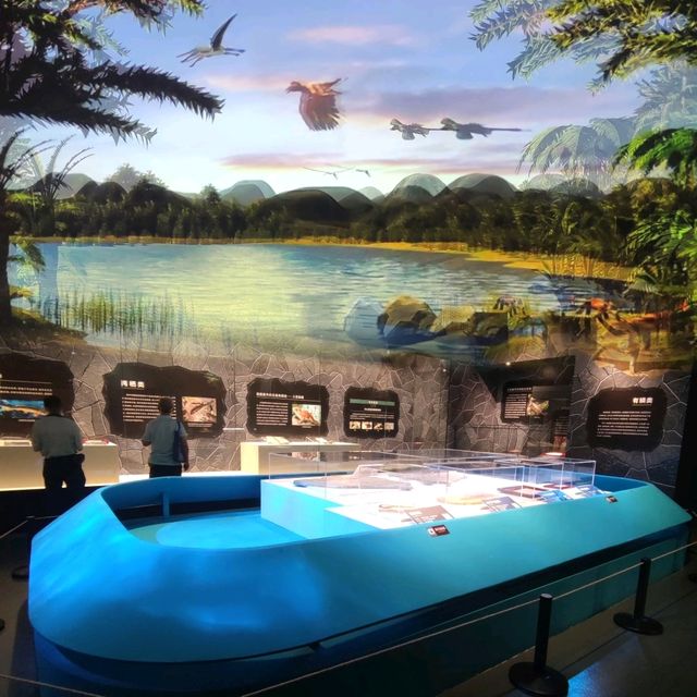 打卡深圳歷史民俗館化石展☞重返白堊紀