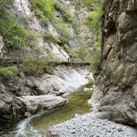 Taiping National Forest Park 