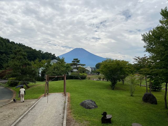 四季景色皆優美 @ 山中湖花之都公園