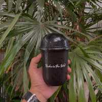 ปาฎี - Padee in the wild 