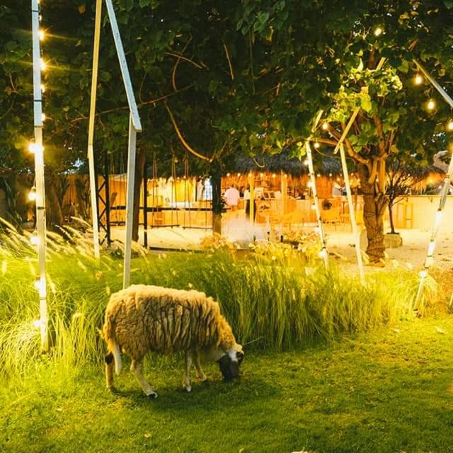 นอนกาญนะ Camp&Cafe’