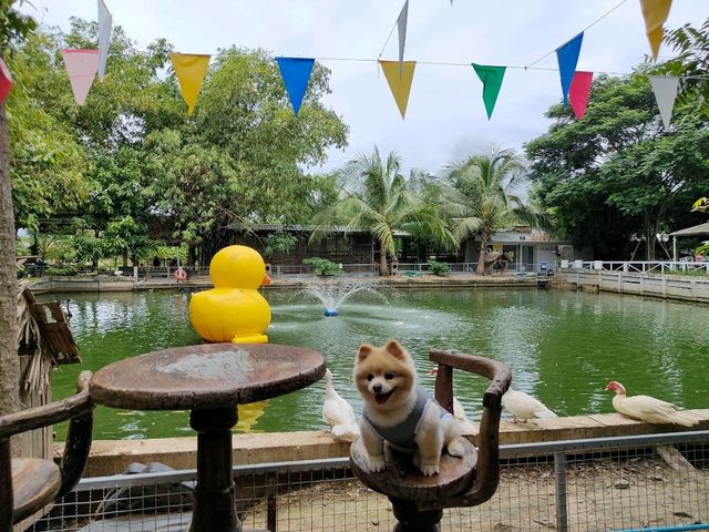 Café and Farm วิวดี ติดธรรมชาติ 