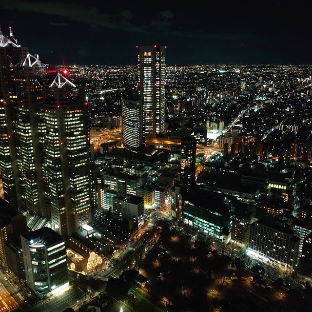 東京都庁展望室