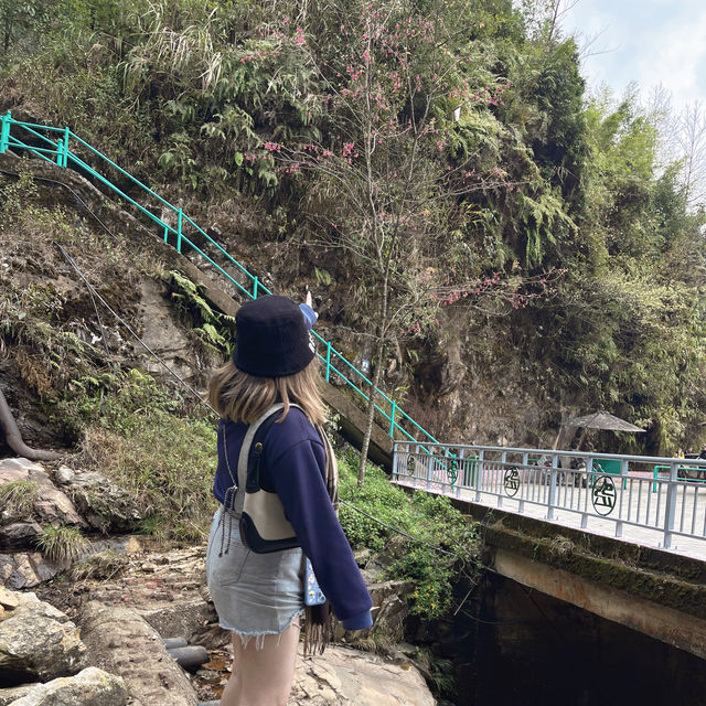 童話般的世外桃源 — 河內Sapa🇻🇳