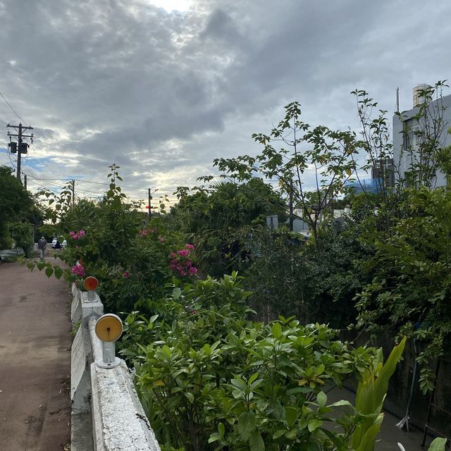 永寧水圳公園🍃