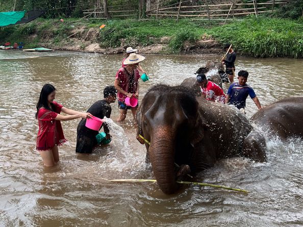 하룻동안 코끼리의 친구가 될 수 있는 치앙마이 Kerchor elephant eco park