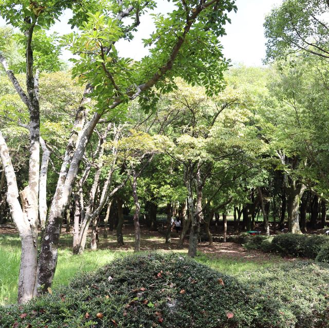 다양한 식물을 볼 수 있는 ‘한라수목원’