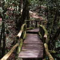 เส้นทางศึกษาธรรมชาติอ่างกา จ.เชียงใหม่ 🌿
