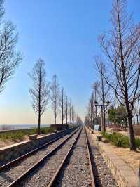 서해바다 보면서 페달 밟기! 영종도씨사이드 레일바이크🚲