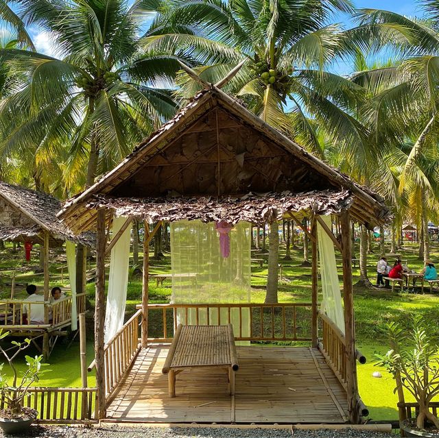 치앙마이 바파오 코코넛 플리마켓 이색적인 동남아 풍경🌴
