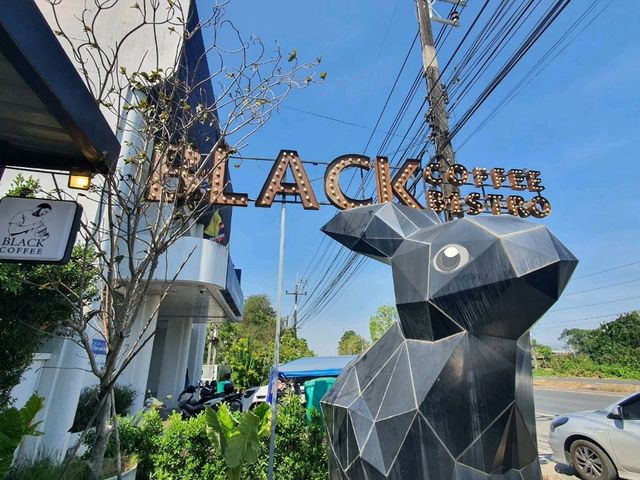 ●Black Coffee 🥤