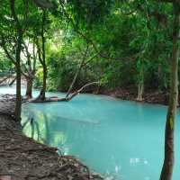 สวนรุกขชาติวังก้านเหลือง