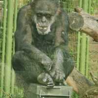 Zoological Gardens Karlsruhe