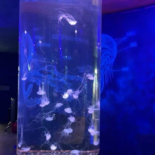 冰雪奇緣！東莞海之韻極地海洋公園❄️🐧🌊