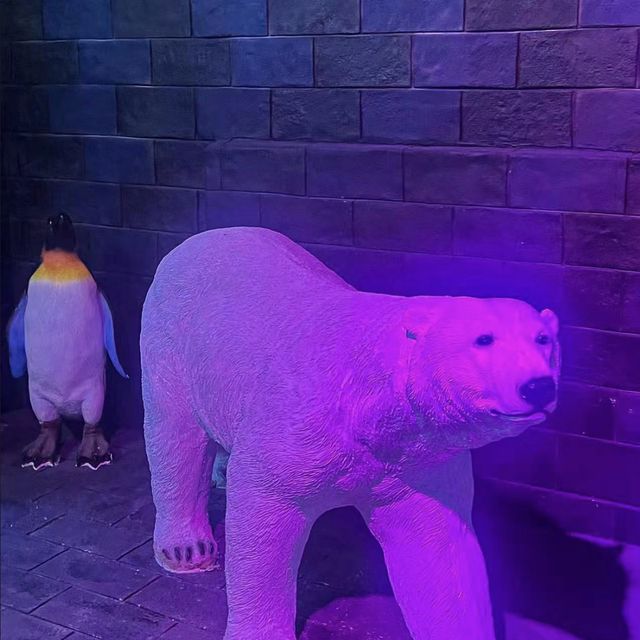 冰雪奇緣！東莞海之韻極地海洋公園❄️🐧🌊