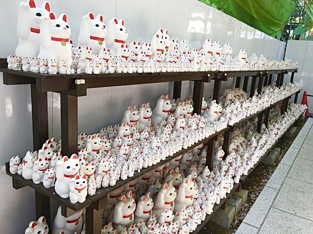 【東京都/豪徳寺】大小さまざまな招き猫がいる寺院