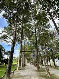 เขาชะงุ้ม คาเฟ่ คาเฟ่ที่มาคู่กับธรรมชาติ🌿
