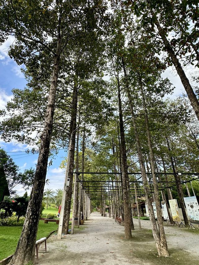 เขาชะงุ้ม คาเฟ่ คาเฟ่ที่มาคู่กับธรรมชาติ🌿