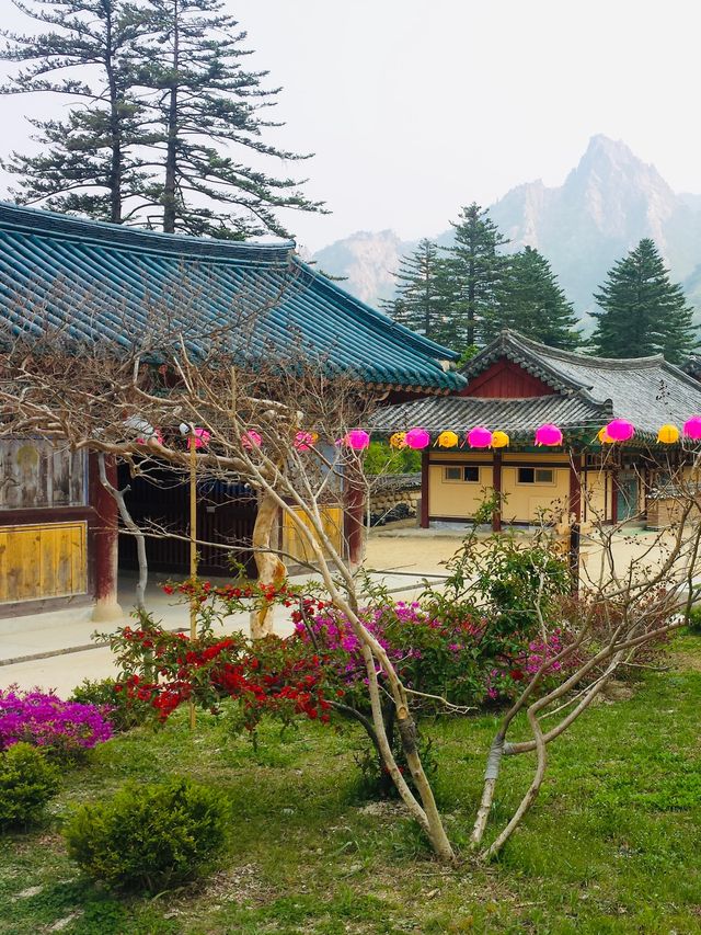 [Tradition Korean Culture]⭐️National Park⭐️