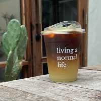 Living a Normal Live