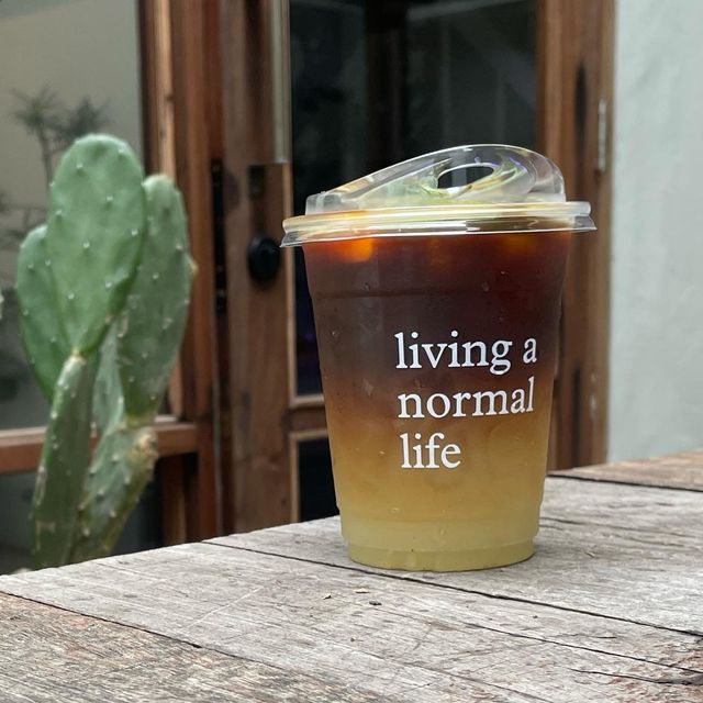 Living a Normal Live