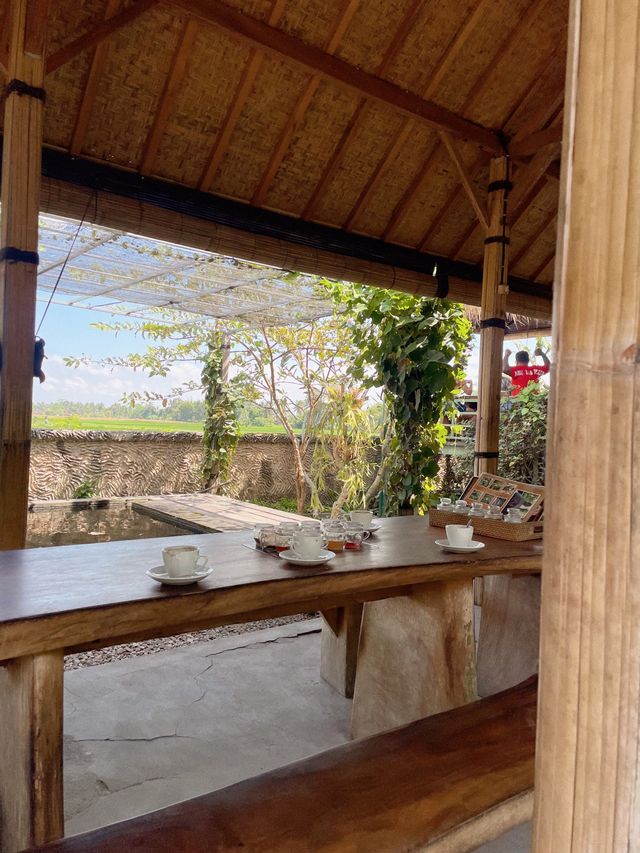 【バリ島】世界一高級なコーヒーが飲める農園に行ってきた