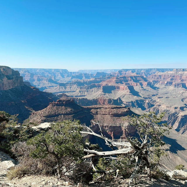 Must-visit: Grand Canyon West Rim, Nevada 🇺🇸